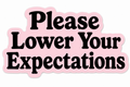 Please Lower Your Expectations Sticker